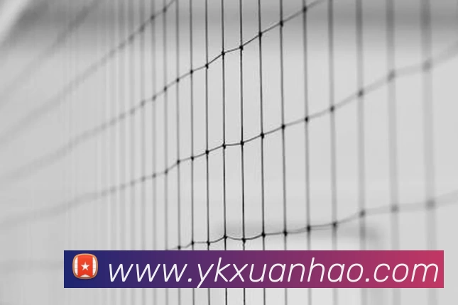 奥运会价值再评估：赛事投入回报如何影响城市经济与社会遗产